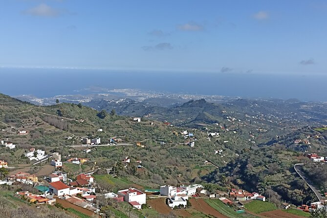 Gran Canaria Premium Tour: Volcanoes and Wine for cruisers - Bodega San Juan and the taste of young Canarian wine
