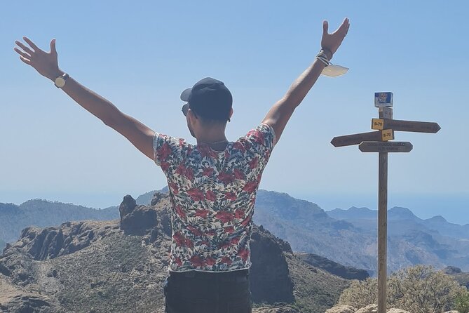 Gran Canaria Premium Tour: Volcanoes and Wine for cruisers - Is $270.64 per person a fair price?