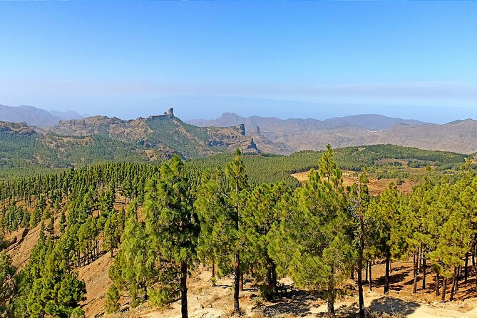 Gran Canaria Premium Tour: Volcanoes and Wine for cruisers - Caldera de Bandama, a volcanic bowl near the capital