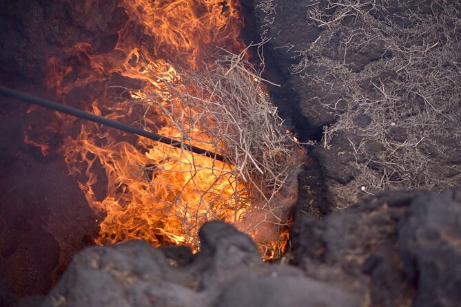 Grand Tour to Timanfaya and Jameos del Agua for cruise passengers - The camel camp and the €11 decision