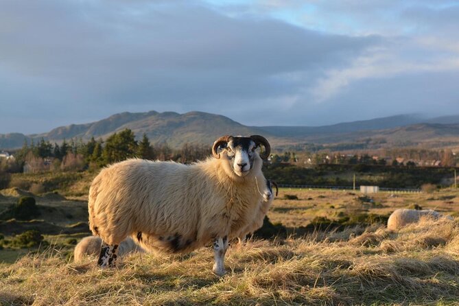 GREENOCK (GLASGOW) SHORE EXCURSION: Scotland Adventure Sightseeing Day Trip Tour - Key points to know before booking