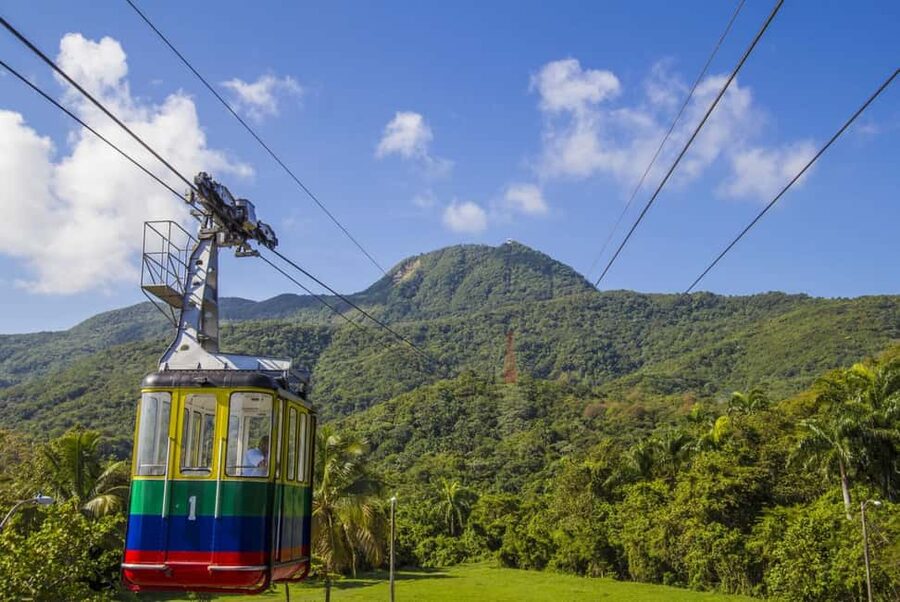 Half Day Cultura Tour of the City of Special for Cruise Ship - Why this four-hour tour appeals to cruise passengers