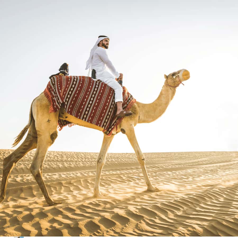 Half-Day Desert Safari For Cruise Ships Passngers. - Key points at a glance
