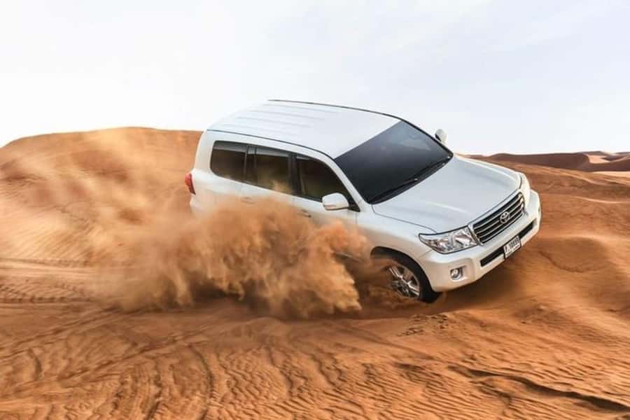 Half-Day Desert Safari For Cruise Ships Passngers. - A short camel ride at the desert camp