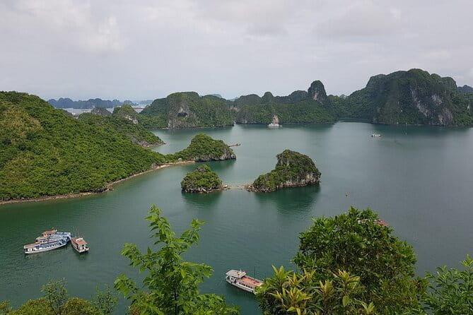 Halong Bay Shore Excursion: Full Day Cruise Tour from Cruise Port - Key details before you book