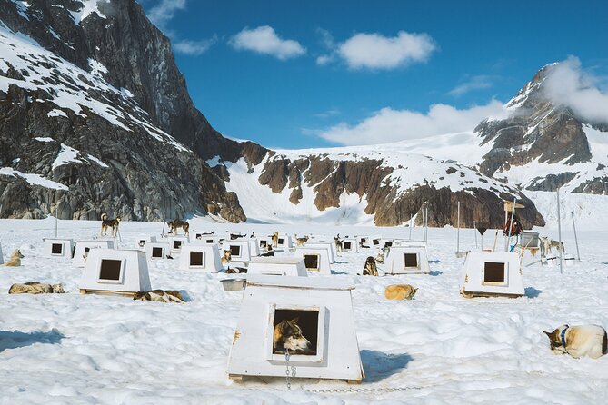 Helicopter To a Dogsledding Experience - The 15-minute flight to Herbert Glacier