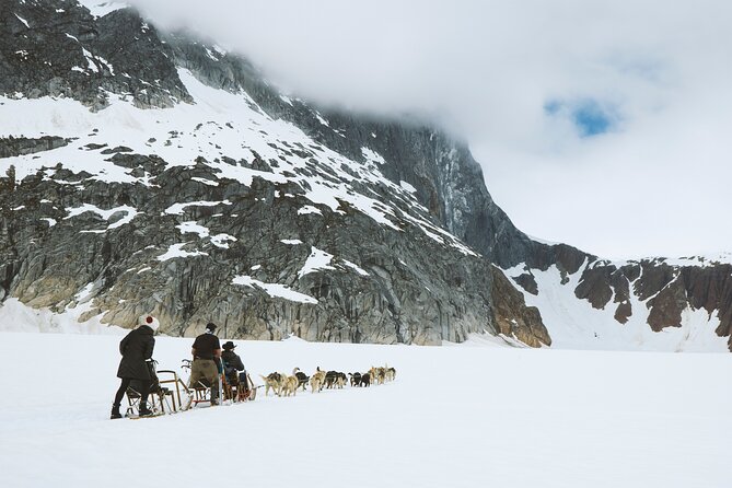 Helicopter To a Dogsledding Experience - The dogsled ride: real snow, short route