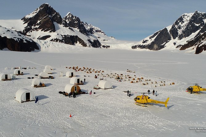 Helicopter to a Dogsledding Experience with a Glacier Landing - Key points to know before booking