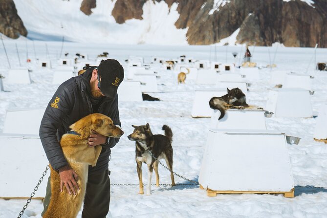 Helicopter to a Dogsledding Experience with a Glacier Landing - From Coastal Helicopters to Herbert Glacier