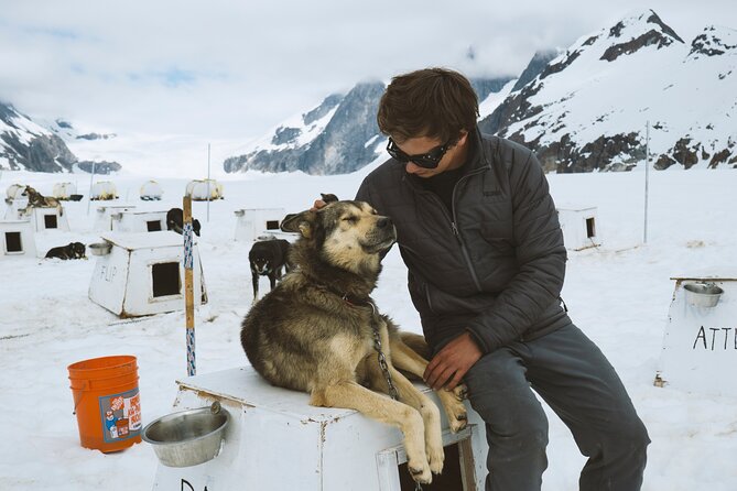 Helicopter to a Dogsledding Experience with a Glacier Landing - The second landing on exposed glacier ice