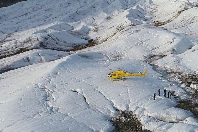 Helicopter to a Dogsledding Experience with a Glacier Landing - Is the $860.52 price worth it?