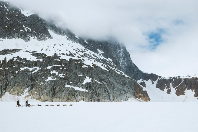 Helicopter to a Dogsledding Experience with a Glacier Landing - Weather, cancellations, and cruise timing