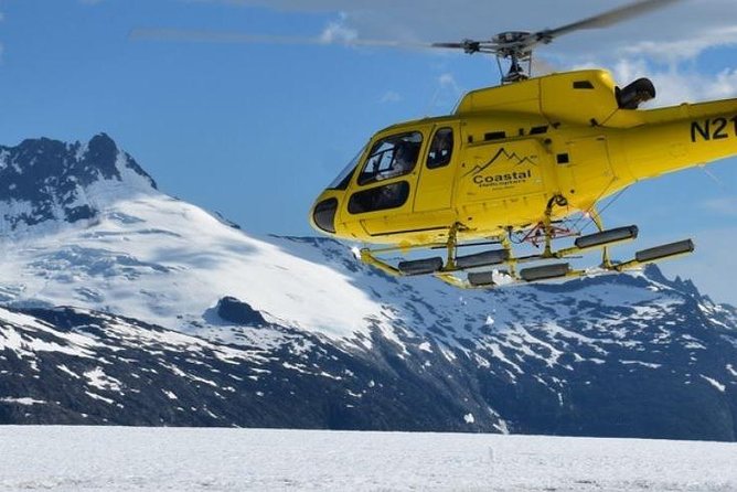 Helicopter to a Dogsledding Experience with a Glacier Landing - Meeting the mushers and sled dogs