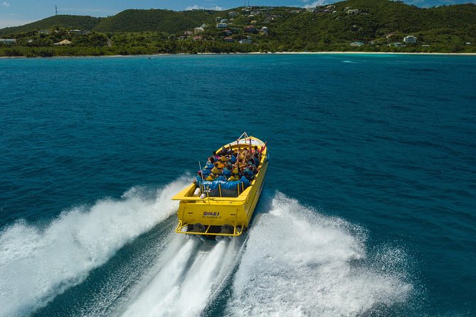 High Speed Harbor Tour from Charlotte Amalie Cruise Port - Who should book the jet boat ride