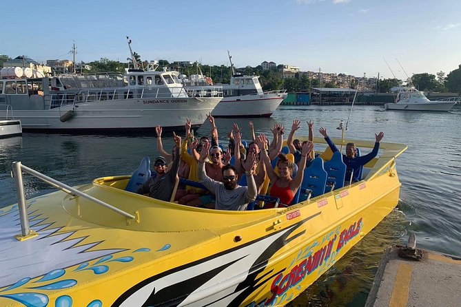 High Speed Harbor Tour from Charlotte Amalie Cruise Port - Timing, cancellations, and port-day planning
