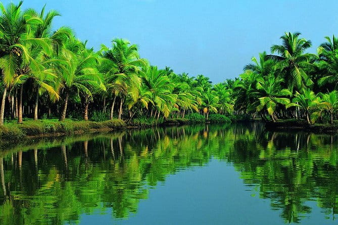 Highlights of Cochin - Group Shore Excursion from Pier - Mattancherry, Jew Town, and the Paradesi Synagogue