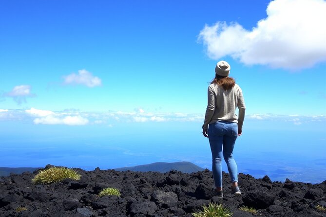 Hilo and Volcano National Park Tour for Cruise Passengers at port - Why this makes sense from a cruise ship
