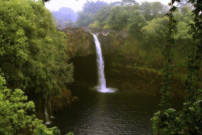 Hilo and Volcano National Park Tour for Cruise Passengers at port - Hawaii Volcanoes National Park is the main event