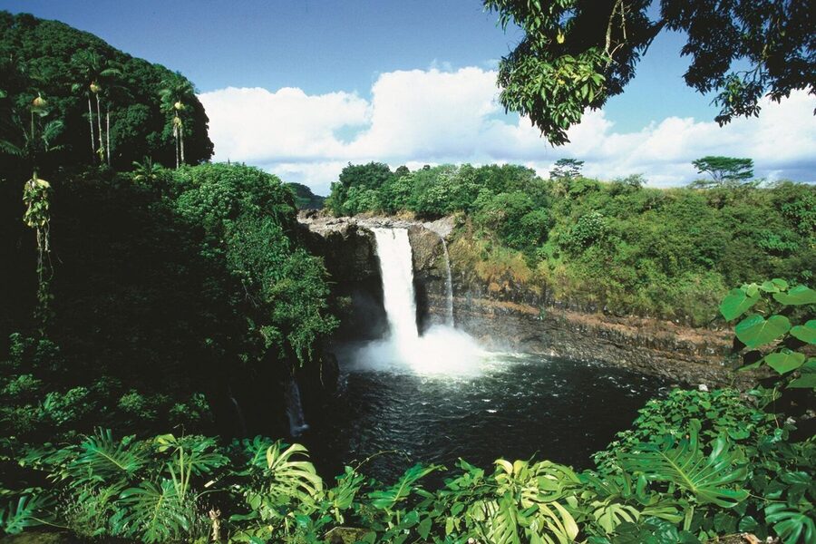 Hilo Cruise Ship Excursion: Volcanoes National Park Rainbow Falls - Halema’uma’u and the Lava Tube Experience