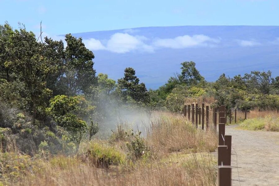 Hilo Cruise Ship Excursion: Volcanoes National Park Rainbow Falls - Is $154 a Fair Price?