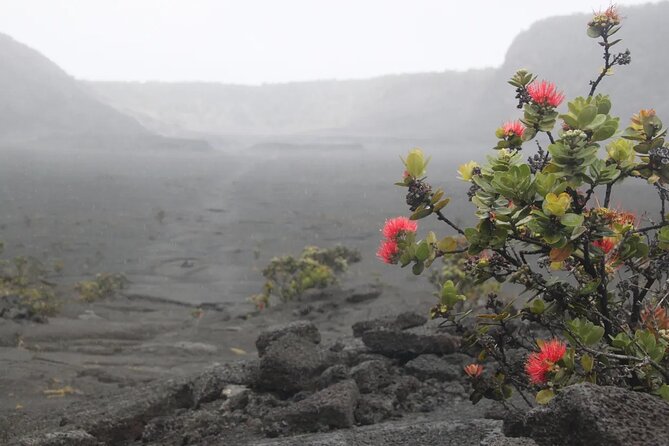 Hilo Cruise Ship Excursion: Volcanoes National Park Rainbow Falls - Weather, Food, and Clothing Tips