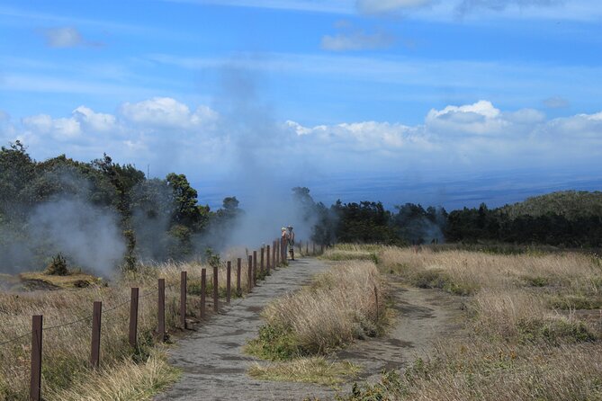 Hilo Shore Excursion: Active Volcano, Lava Tube, Waterfall and Gardens - Chain of Craters Road: selected volcanic views