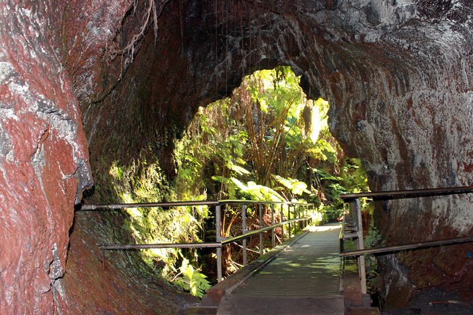 Hilo Shore Excursion: Active Volcano, Lava Tube, Waterfall and Gardens - Thurston Lava Tube: a short walk underground