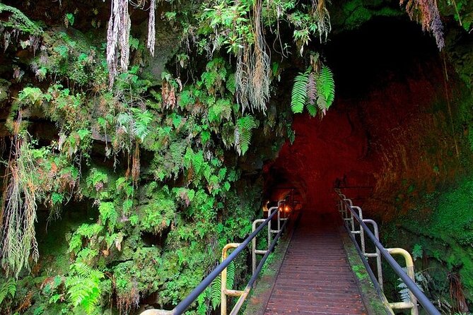 Hilo Shore Excursion: Visit Volcano, Waterfall, Beach with Lunch - Punaluʻu Black Sand Beach and green turtles
