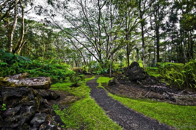 Hilo Shore Excursion: Volcano Safari Lava Caves & Black Sand - Pahoa, Kaimu, and the coastline remade by lava