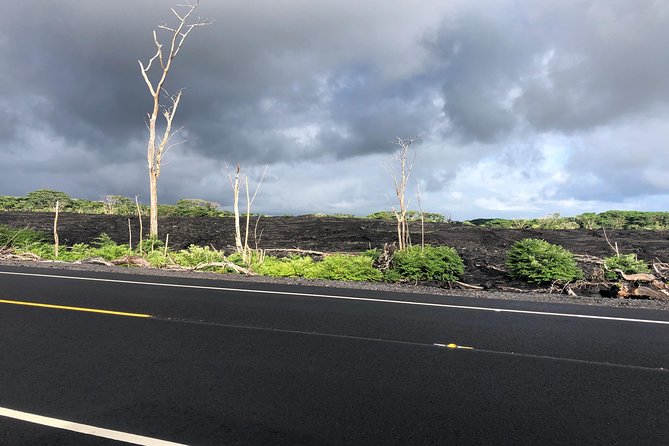 Hilo Shore Excursion: Volcano Safari Lava Caves & Black Sand - Guides, vehicles, and the small-group advantage