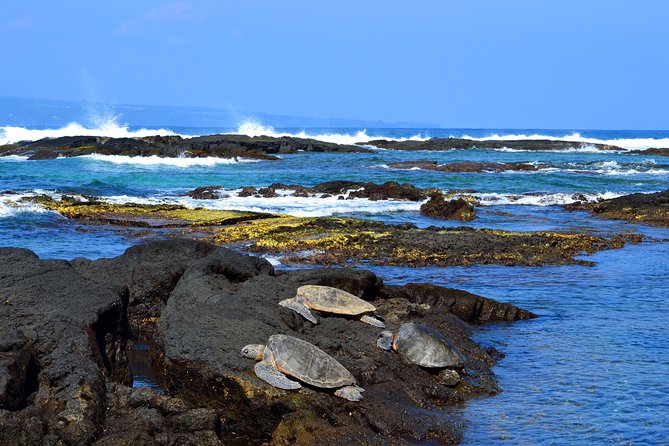 Hilo Shore Excursion: Volcanoes National Park & Black Sand Beach - Why this tour works well from Hilo
