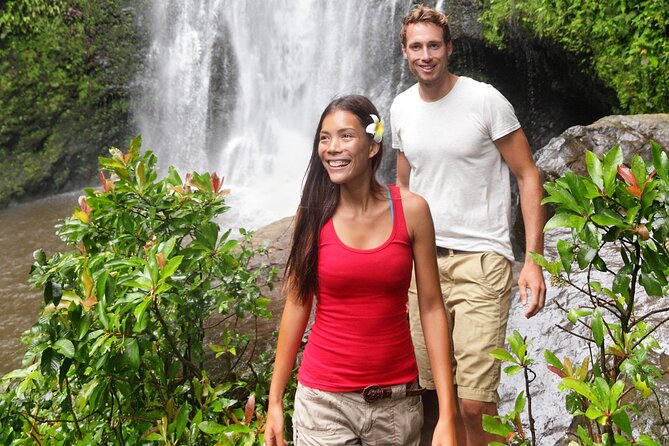 Hilo Waterfall Swim and Hike with Hilo Cruise Ship Pickup - Key Points Before You Book