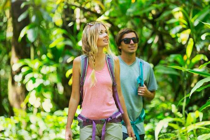 Hilo Waterfall Swim and Hike with Hilo Cruise Ship Pickup - Difficulty: Three Miles on Uneven Ground
