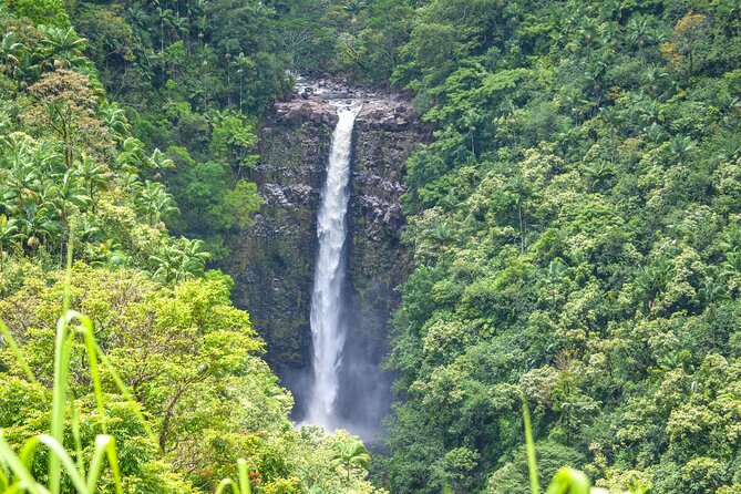 Hilo Waterfall Swim and Hike with Hilo Cruise Ship Pickup - Who Will Enjoy This Hilo Excursion?