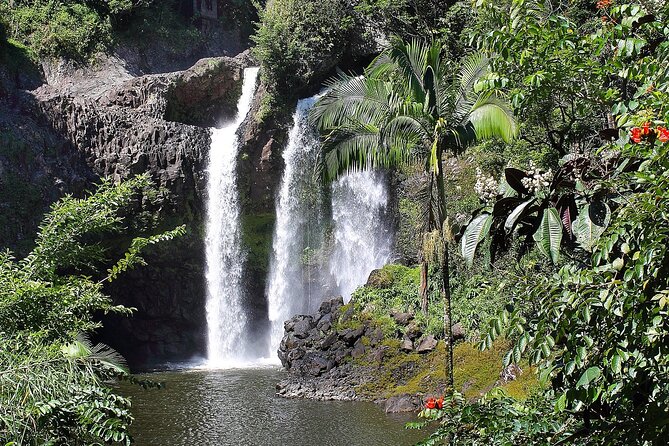 Hilo Waterfall Swim and Hike with Hilo Cruise Ship Pickup - Seeing the 250-Foot Drop at Kolekole Falls