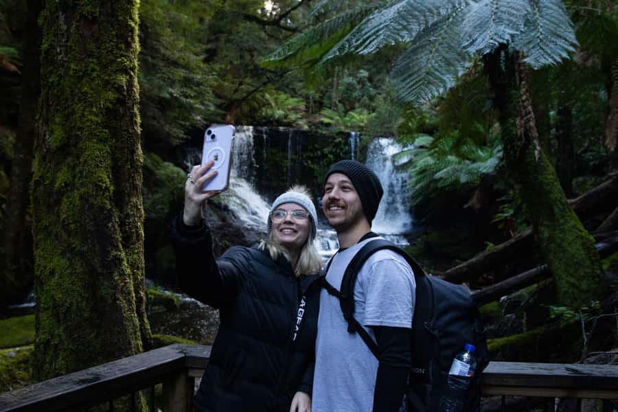 Hobart: Mt Field National Park & Wildlife Shore Excursion - Guide quality and pace