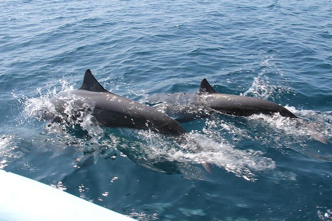 Huatulco Shore Excursion: Seven Bays Private Tour - A private way to see Huatulco’s coast