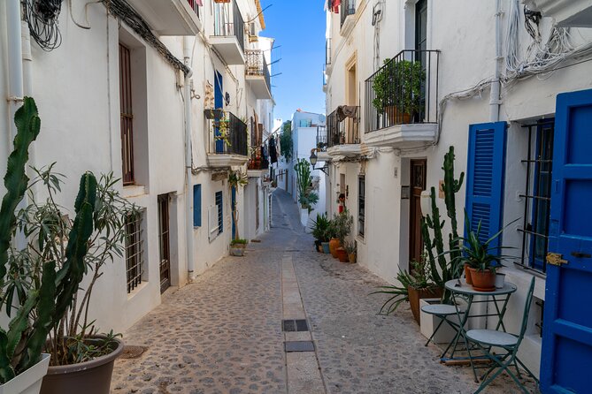 Ibiza Highlights: Ultimate Shore Excursion with Port Pickup - Santa Gertrudis and the quieter side of Ibiza