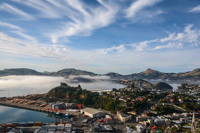 Iconic Shore Excursion: Dunedin City Highlights Tour - Key things to know before you book