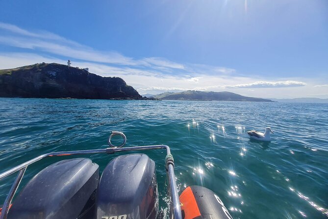 Iconic Shore Excursion: Dunedin City Highlights Tour - The University of Otago brings student life into the picture