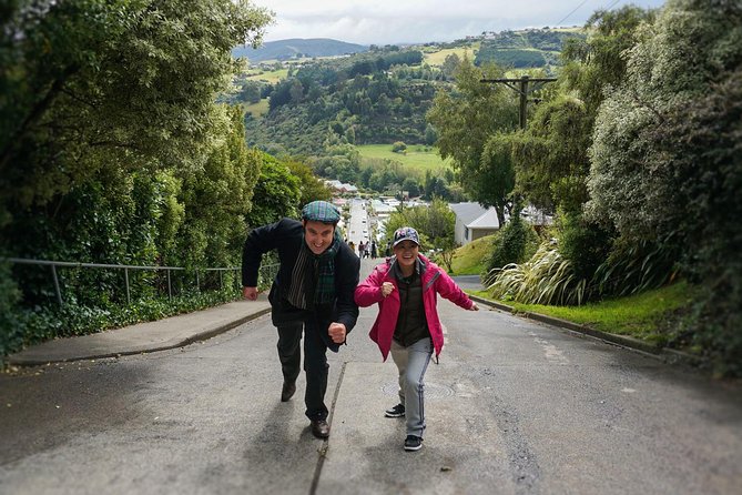 Iconic Shore Excursion: Dunedin City Highlights Tour - Signal Hill puts Dunedin in perspective