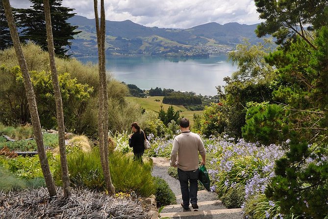 Iconic Shore Excursion: Iconic Larnach Castle Tour - A quick look at Dunedin’s history