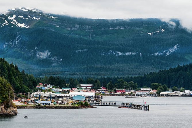 Icy Strait Shore Excursion: Whale Watching Adventure Tour - What is included for the $326.58 price