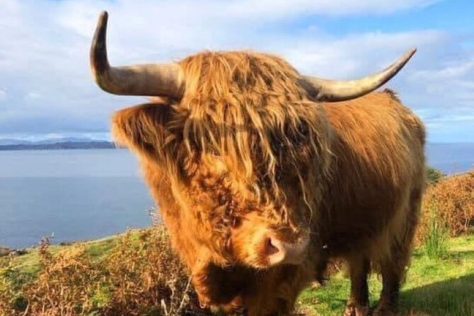 Invergordon Cruise Ship Tour Dunrobin Castle, Dornoch, Distillery - Glenmorangie closes with a Highland whisky stop