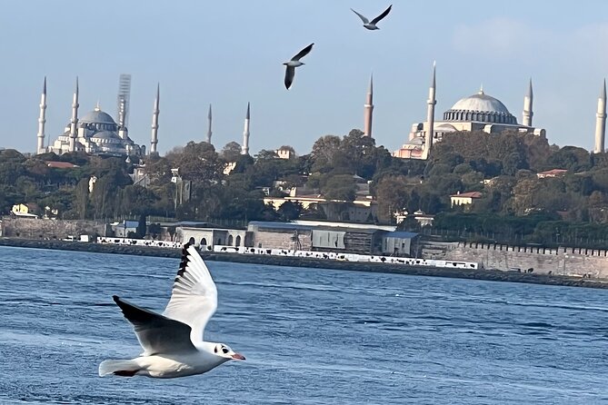Istanbul Airport or Cruise Ship Private Layover Tour - Fatih and the historic Old Town