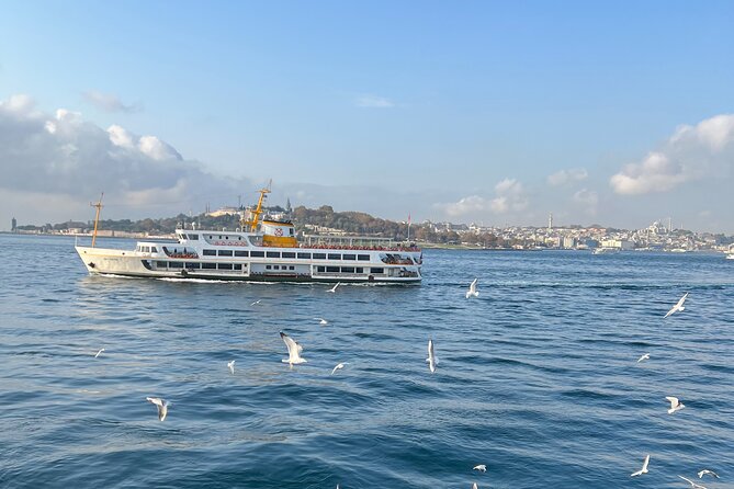 Istanbul Airport or Cruise Ship Private Layover Tour - Who will get the most from this tour?