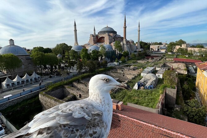 Istanbul city tour from Cruise ship terminal Galataport. - Süleymaniye Mosque brings wider city views
