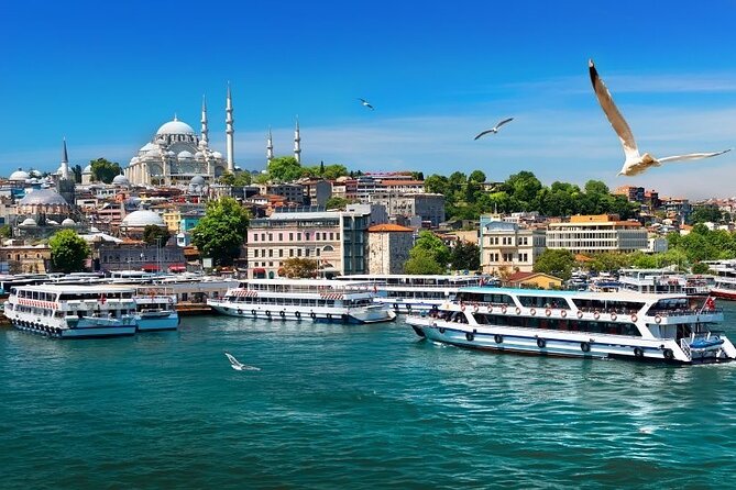 Istanbul Private Tour from Cruise Port - Dinner, wine, and the Turkish show