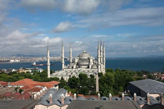 Istanbul Shore Excursion by TRAM: Half Day Private Tour from Port - The Basilica Cistern and its Medusa Heads