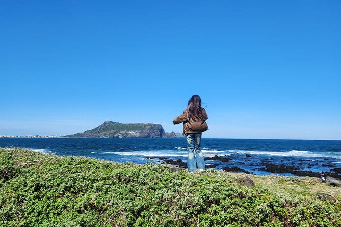 Jeju Cruise Ship gangjung Port PRIVATE tour for all group sizes - O’sulloc Tea Museum and the Longest Stop